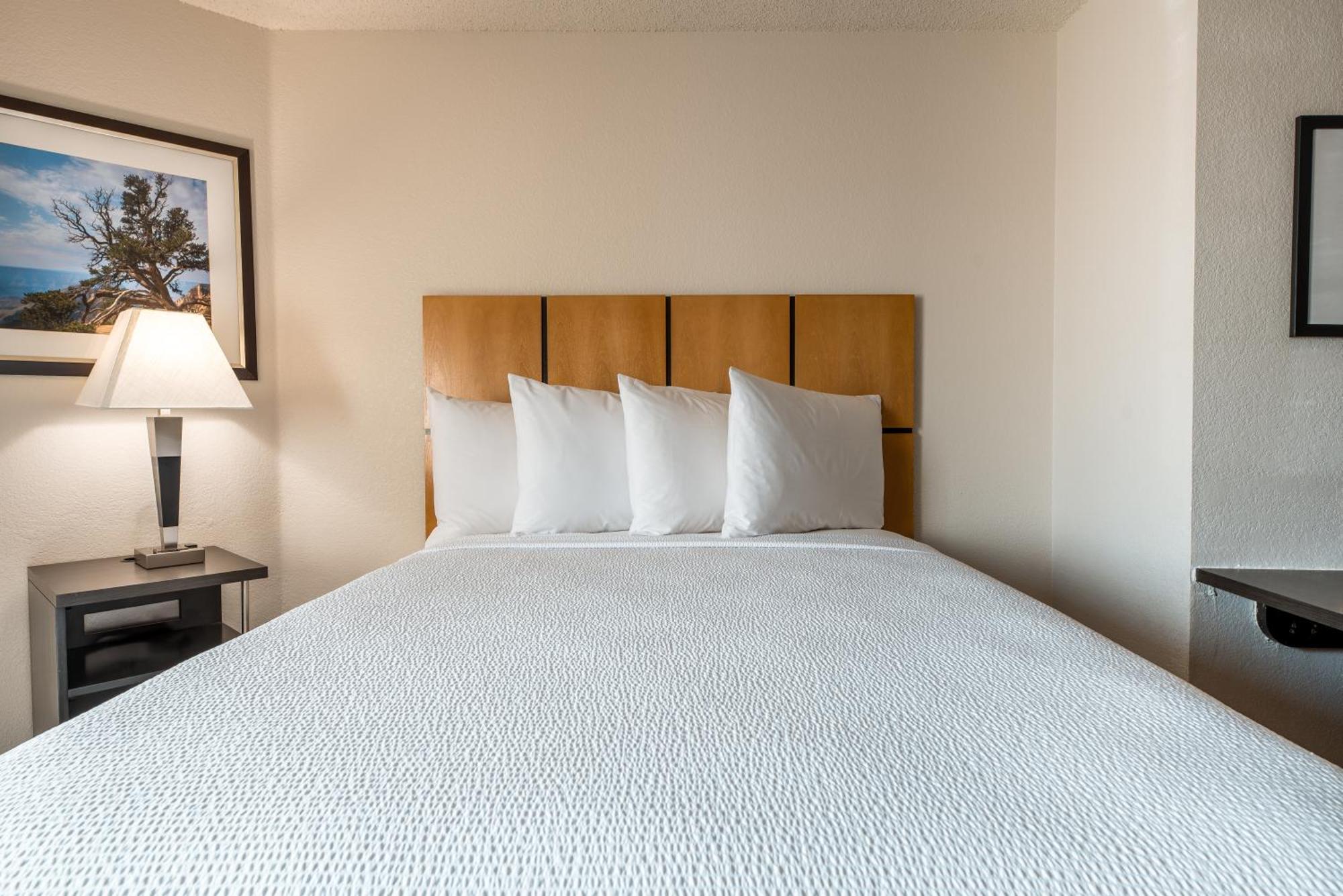 Sonesta Simply Suites Dallas Richardson מראה חיצוני תמונה