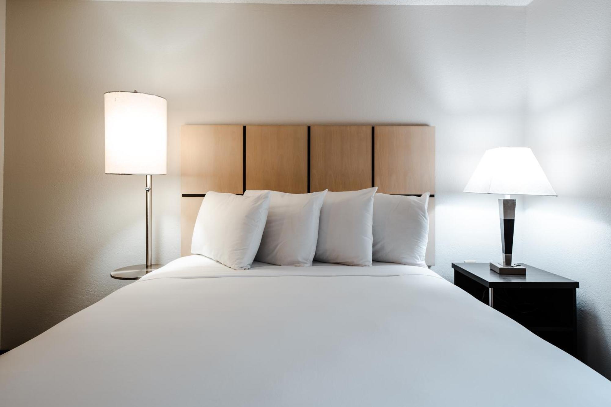 Sonesta Simply Suites Dallas Richardson מראה חיצוני תמונה